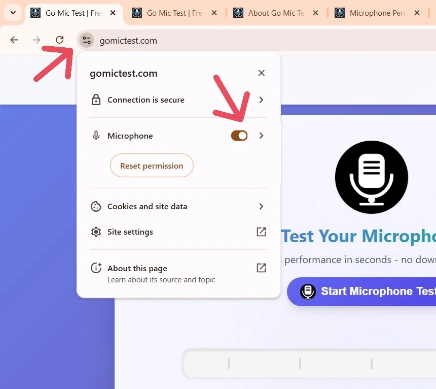 Browser Microphone Permission Settings Screenshot
